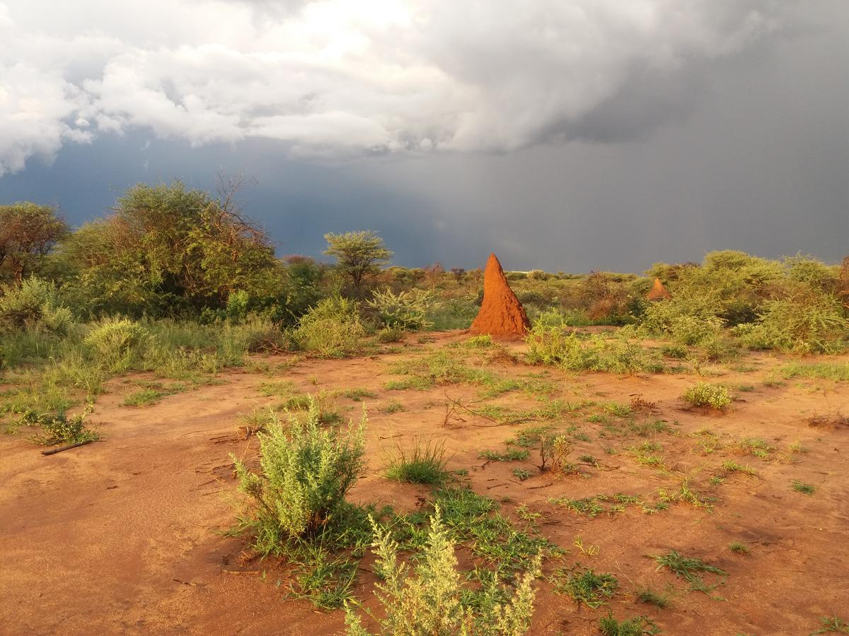 Lion'S Den Guesthouse Otjiwarongo Ngoại thất bức ảnh
