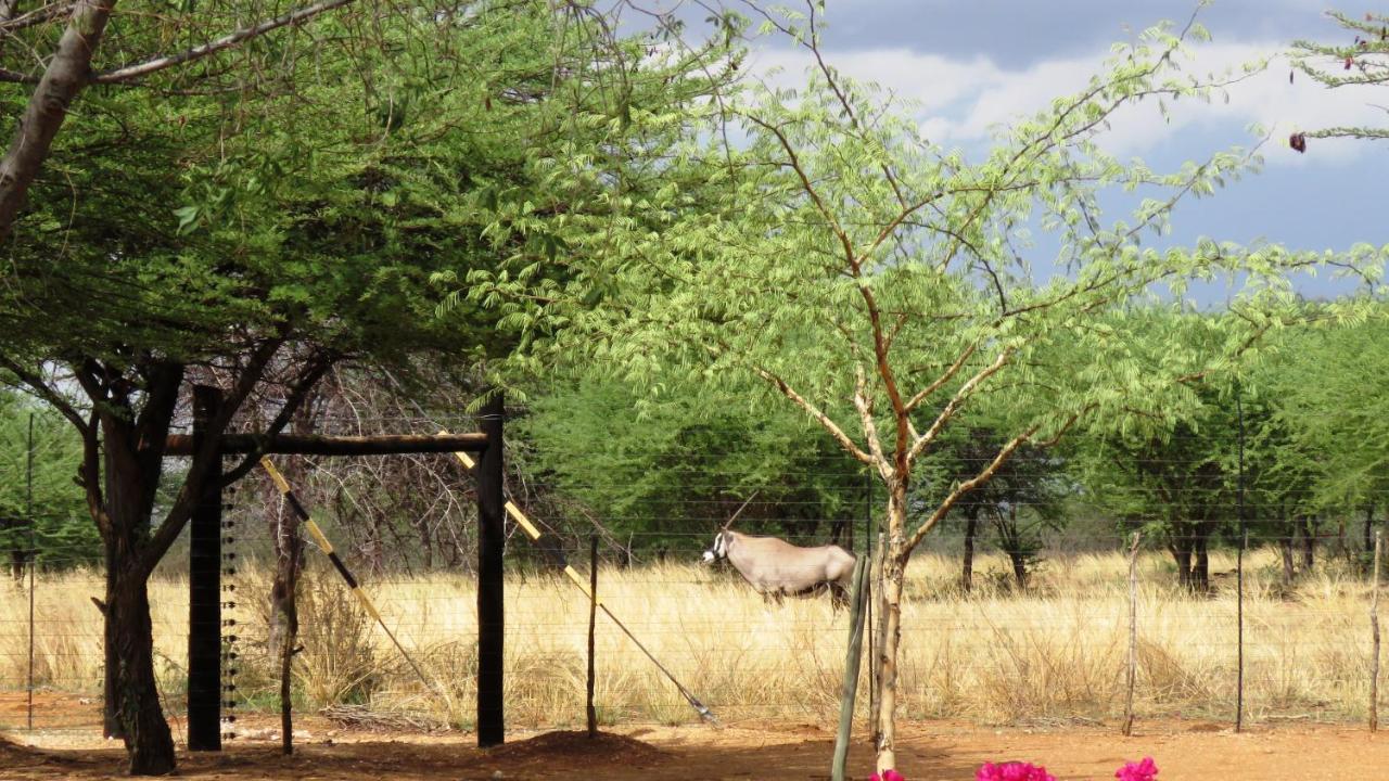 Lion'S Den Guesthouse Otjiwarongo Ngoại thất bức ảnh
