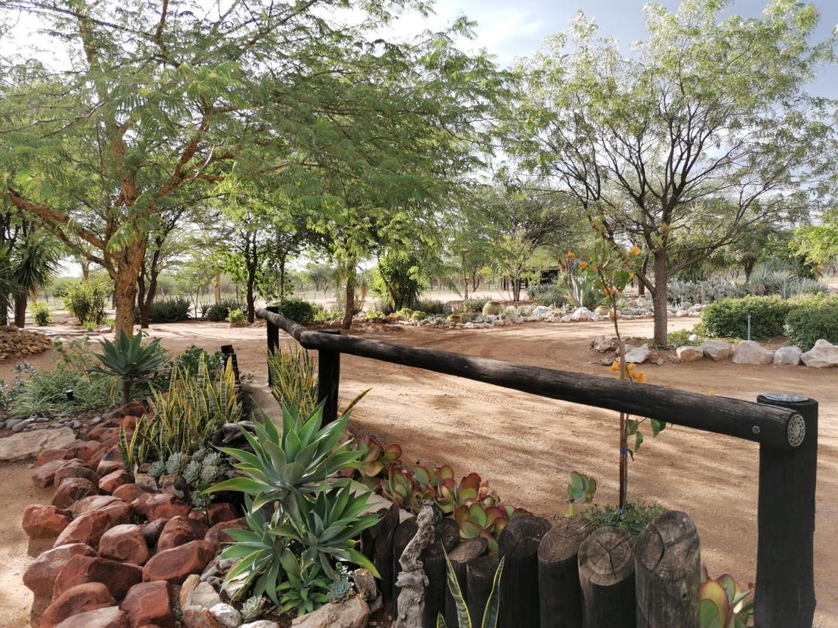 Lion'S Den Guesthouse Otjiwarongo Ngoại thất bức ảnh