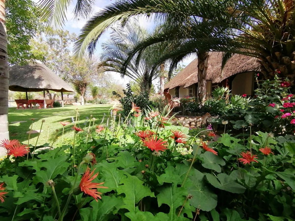 Lion'S Den Guesthouse Otjiwarongo Ngoại thất bức ảnh