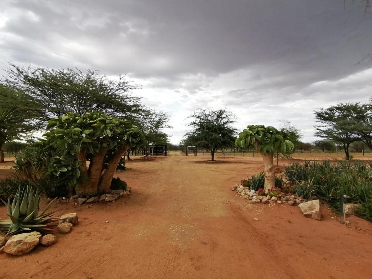Lion'S Den Guesthouse Otjiwarongo Ngoại thất bức ảnh