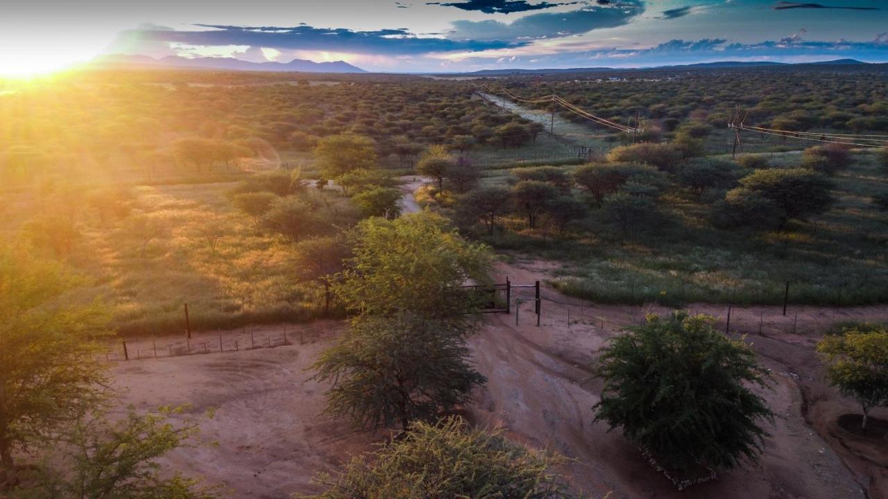 Lion'S Den Guesthouse Otjiwarongo Ngoại thất bức ảnh