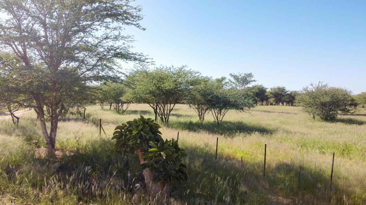 Lion'S Den Guesthouse Otjiwarongo Ngoại thất bức ảnh