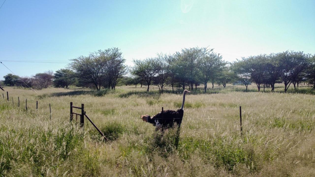 Lion'S Den Guesthouse Otjiwarongo Ngoại thất bức ảnh